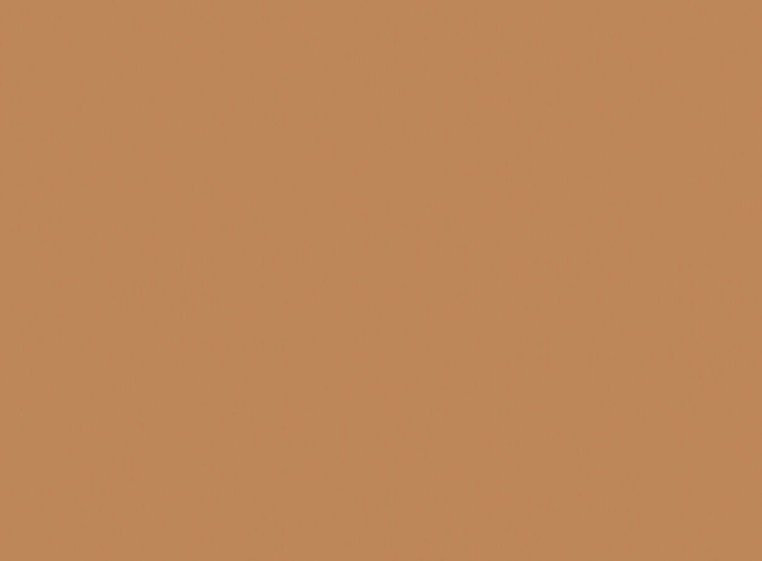 Conceal + Perfect 2-In-1 Foundation + Concealer, Golden Tan