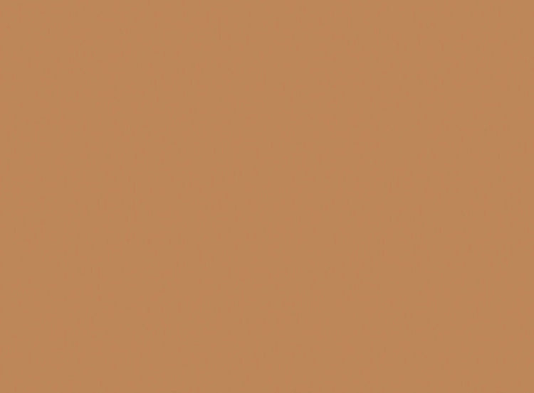 Conceal + Perfect 2-In-1 Foundation + Concealer, Golden Tan